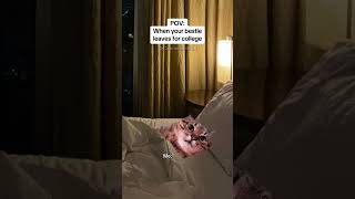 CAT MEMES 🐱When your bestie leaves for college #catmemes #relatable #relationship