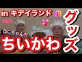 今流行りのちいかわグッズを爆買い🛍️自分たちがモモンガとカニちゃんコンビすぎてサムネさえもそれに見えてきて草