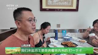 [中国三农报道]宁夏盐池 滩羊融入特色餐饮 产业链不断升级 | 农业致富经 Agriculture And Farming