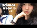 School vlog  nhng ngy cui thu ca hc sinh lp 12 mnh l vie