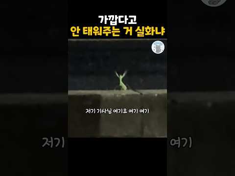 가깝다고 안 태워주는 거 실화냐? #더빙농장 #동물더빙 #사마귀 #funnyanimals #웃긴동물 thumbnail