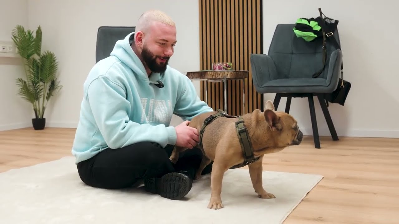 Собачья хиропрактика... Кости Руки Животные!