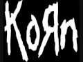 KoRn Got The Life Deejay Punk Rock Remix mp3