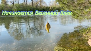 На Озерах Начинается Весенний Клев