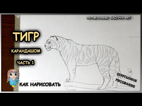 Как нарисовать ТИГРА  в полный рост стоящего карандашом. Поэтапный урок