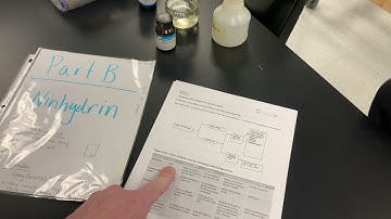Ninhydrin Solution Fingerprints