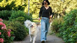 Influencer Danielle Walter Posted About Her Planned Proposal From Her Boyfriend Details