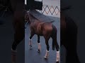 Last year’s Melbourne Cup runner-up, Goodie Two Shoes, has touched down in Melbourne 🙌🏆