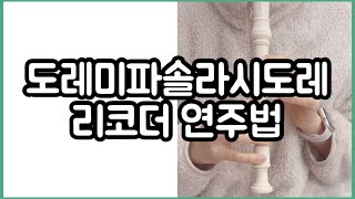 리코더 도레미파솔레시도레 위치 배우기 :: 연주 방법 운지법 계이름 연주법 연습