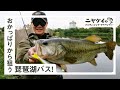 【琵琶湖おかっぱり編】~琵琶湖オカッパリ釣れない？そんなことないです！~ ニヤケイのバスフィッシング・アドベンチャー vol.2