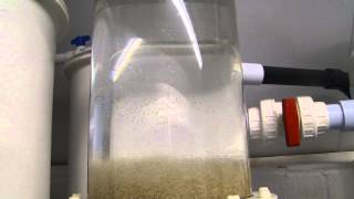 skimmer and fluidizer