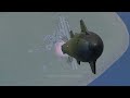 Starship Expansion Project | KSP