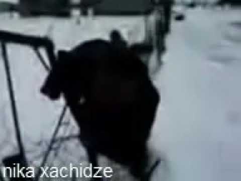 მეტი არაფერი არ მინდა ჩამომსხენი