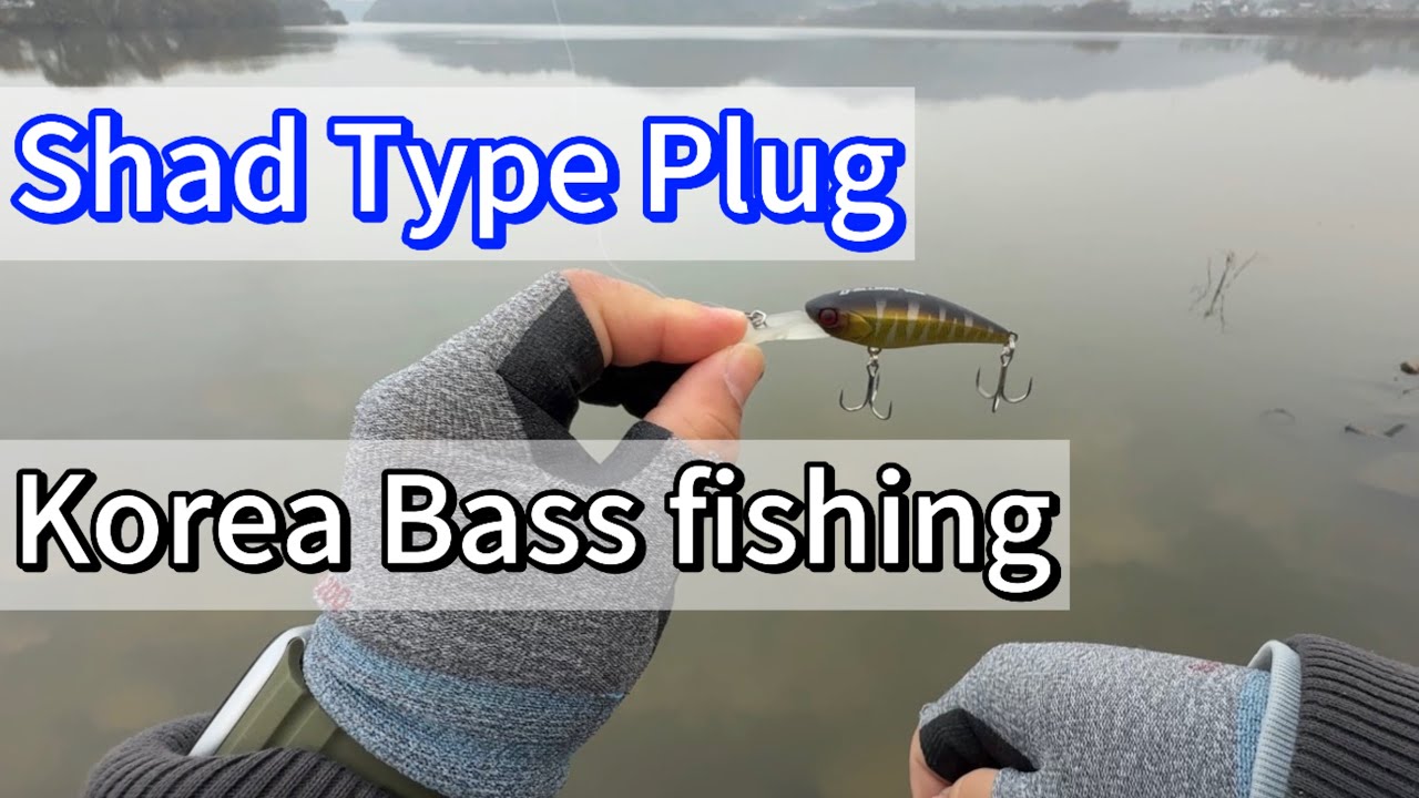 20251109 섀드 플러그 배스낚시/ 루어 로테이션