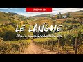 Le langhe  albala morrabaroloneivebra