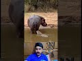 #funnyshorts #amazingfacts #viralvideo #funny #funnyreaction #reactionvideo #pakistan