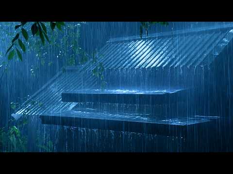 A Cure for Deep Sleep with Loud Rain & Ferocious Thunder on Metal Roof in the Rainforest (No Ads)