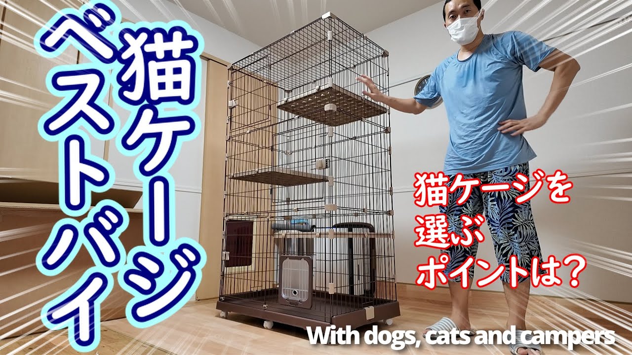 52 A cage is necessary for your cat to feel safe! What are the 5 52 A cage is necessary for your cat to feel safe! What are the 5