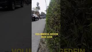 Download Lagu TELOLET BASURI V3 REMIX X SHALAWAT, ( BUS BLUE STAR) #shorts #short #busbasuri MP3