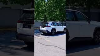 RAV4 Woodland e-Four 2.0 (China Version) in Action