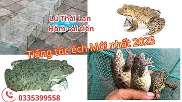 12 cửa ngục - Lú Thái Lan Hôm cải tiến. Tiếng Túc Ếch mới nhất 2025