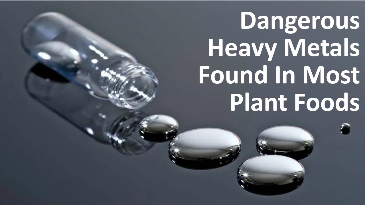 Dangerous Heavy Metals Found In Most Plant Foods YouTube