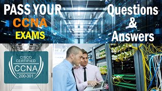 CCNA 2 v7 Modules 1 – 4 Switching Concepts, VLANs, and InterVLAN Routing Exam Answers