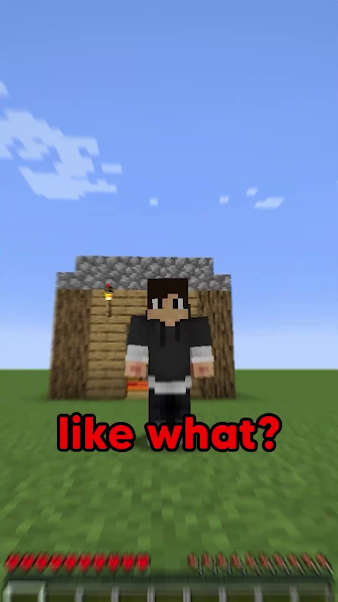 How is this ILLUSION Made in Minecraft?