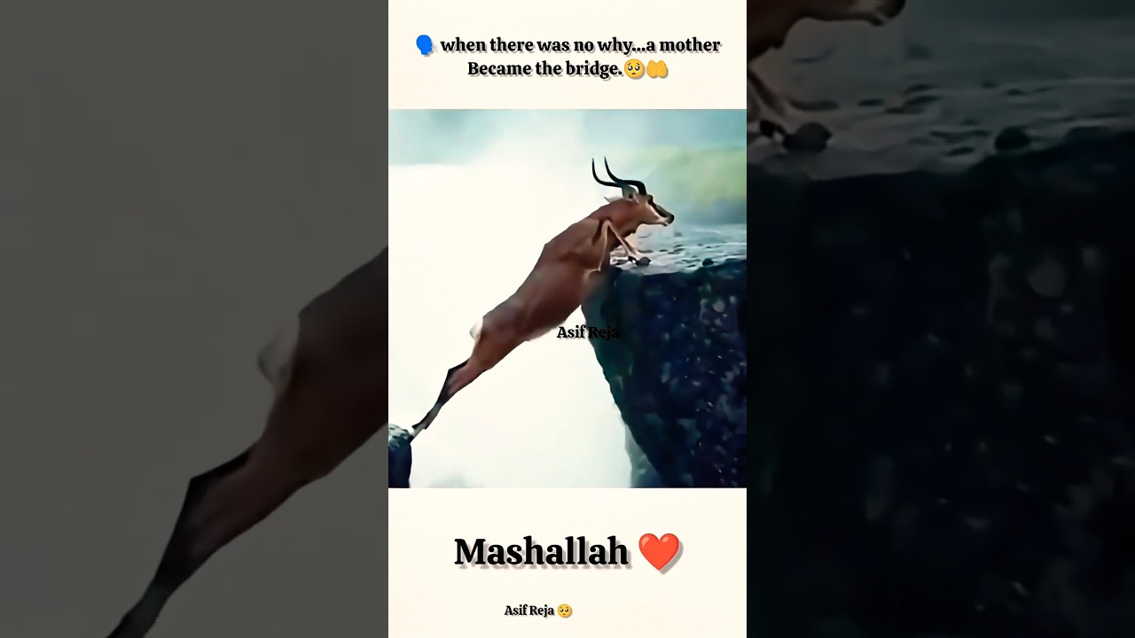 Always trust in Allah 🥺❤️🩹