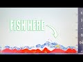 HOW TO FIND A NEW FISHING SPOT Using Your Bottom Machine Fish Finder