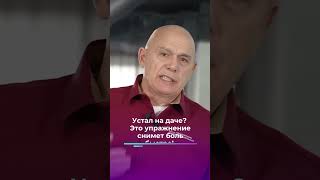 Устал на даче? Это упражнение снимет боль! #shorts #бубновский #упражнения