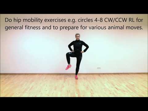 Bear Walk, Bear Crawl, Animal Move mobility and stability progression and variation