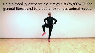 Bear Walk, Bear Crawl, Animal Move mobility and stability progression and variation