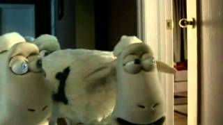 Serta   86   Doner   Adforum Com