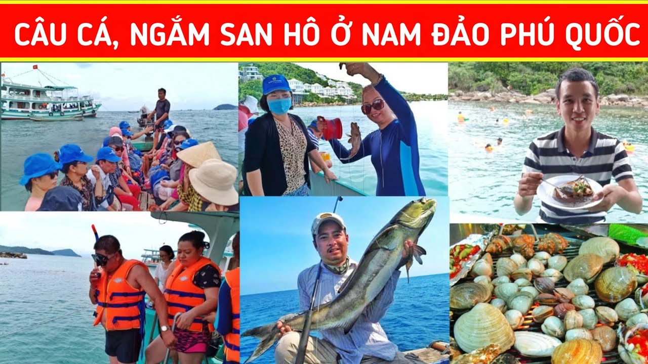 ♦️Hành trình Đi Tàu Câu Cá, Lặn Ngắm San Hô, Ăn Hải Sản ở Nam đảo | Du lịch Phú Quốc | XÊ DỊCH TV - YouTube