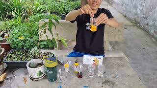 Minh họa DOUBLE X - FDD Hoàng Hải