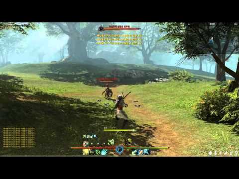 BLESS Online 2014 Korean CB Ranger Preview