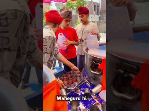Sade pind ne langer #rjmattu12 #waheguru #langer #youtubeshorts #guruarjandevji
