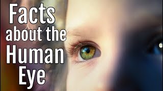 Facts about the Human Eye | Anatomy Classroom Video for Kids