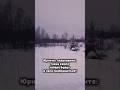 Что делать с землёй ❓️ юристы подскажите. #земля #дача #огород #деревня #юрист #совет #обзор #вопрос