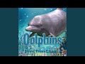 Dolphins
