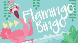 Flamingo Bingo Der Lustige Flamingo Song Moupmoup Kinderlieder