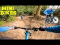 Minibikes are the best