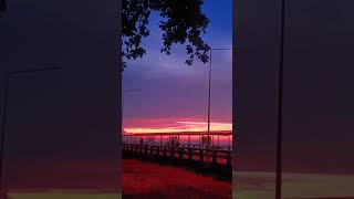 Download Mp3 #diy #funny #satisfying #comedy #frog #halloween #bushcraft #jabba #oddlysatisfying #experiment Gudang lagu Download Mp3 #diy #funny #satisfying #comedy #frog #halloween #bushcraft #jabba #oddlysatisfying #experiment