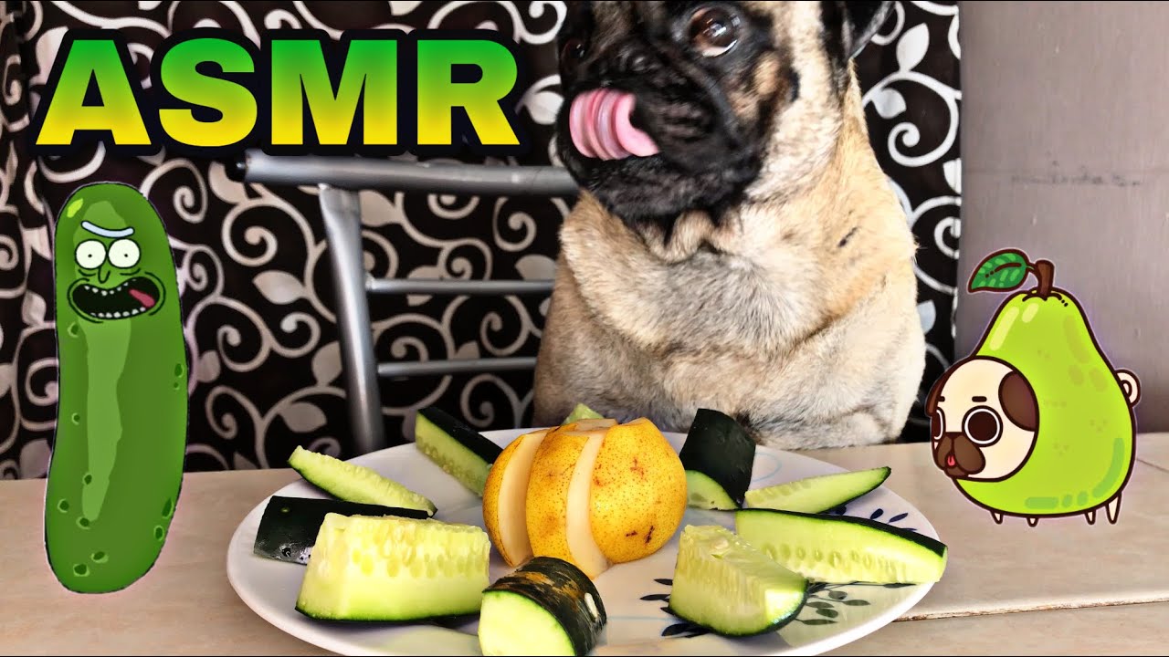 Mukbang (ASMR)/Cucumber & Pear