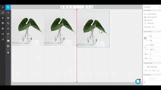 Image cropping and replacing in Seidat