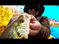 Simple Worm Fishing! How To Catch Loads Of Fish For Dinner Easy With A Simple Rig!