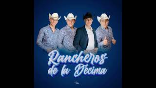 Rancheros de la Décima 2024 - El solterón (Audio oficial)