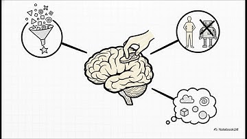Coding Imagination: New Models for Human Cognition