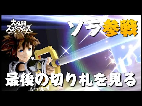 ソラが参戦したので最後の切り札を使ってみる【スマブラSP】